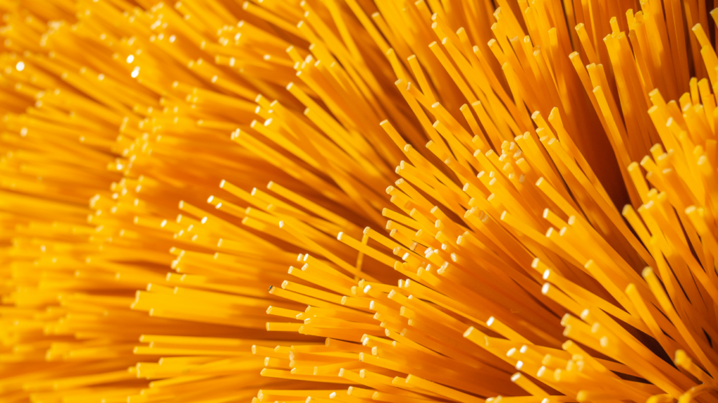 12 Different Brands We Offer for Various Brooms at United Rotary Brush